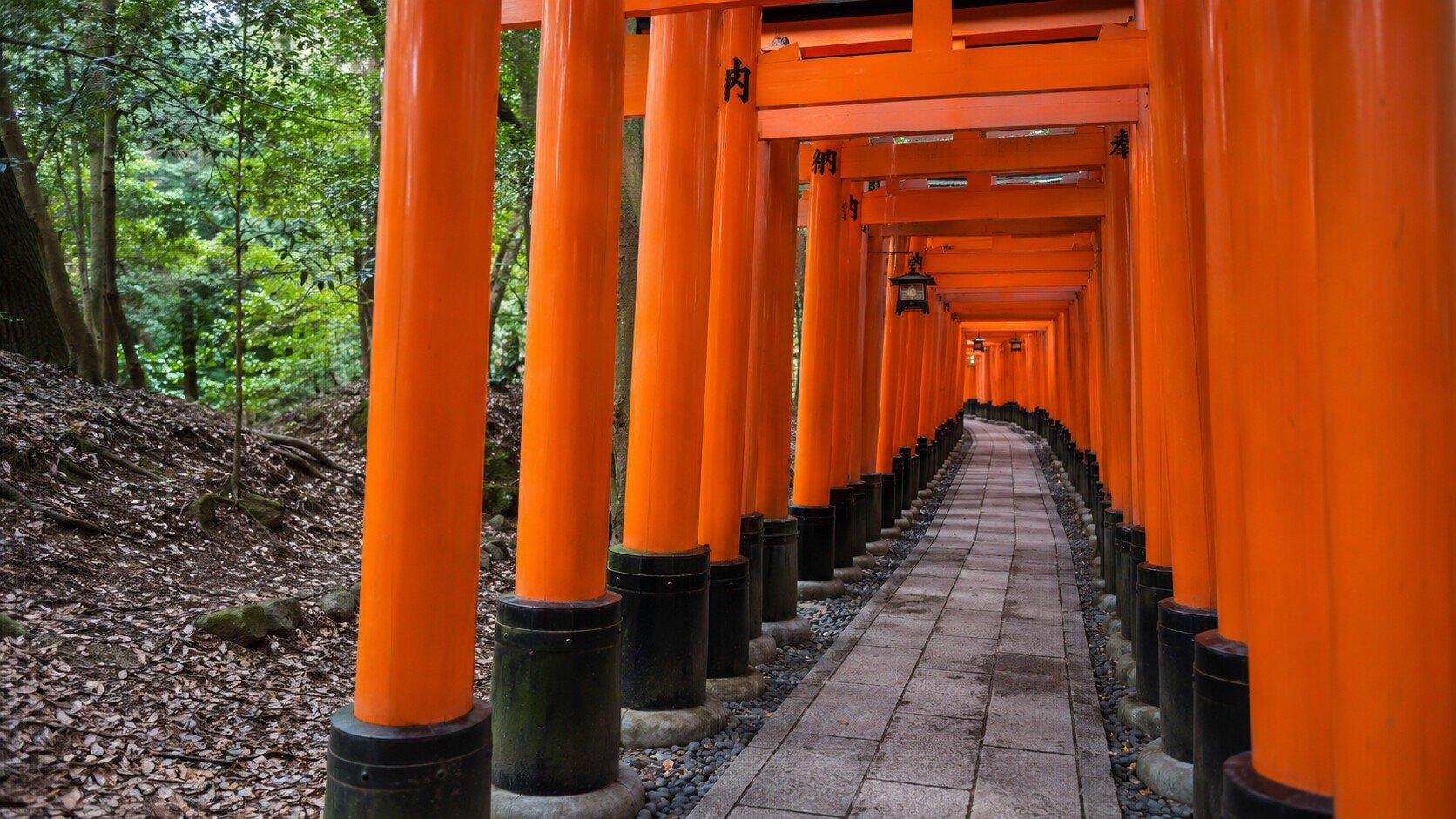 Classic Japan Golden Route