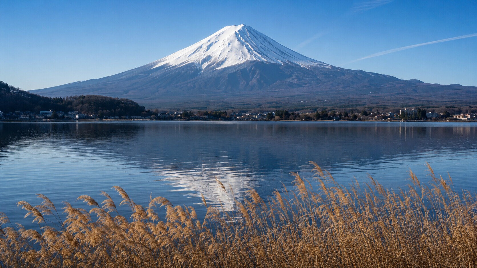 Japan Incentive Program