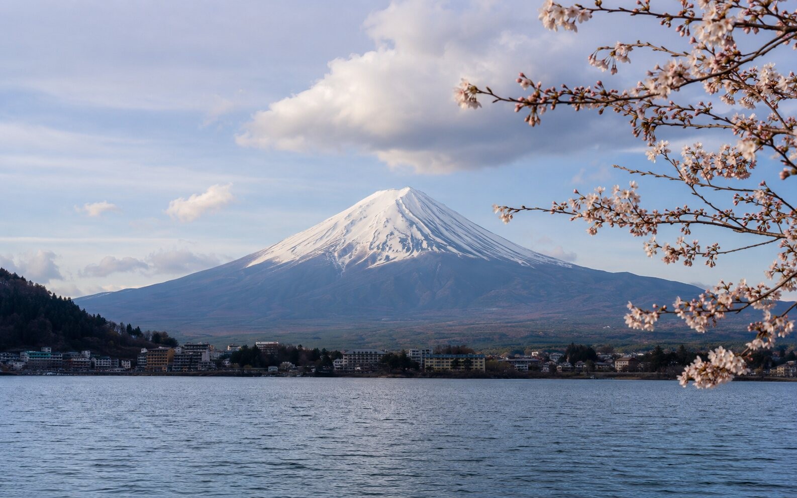 Japan destination services