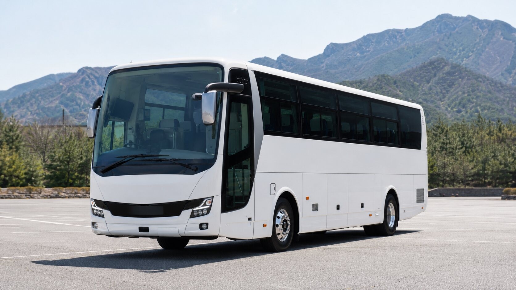 Large Coach